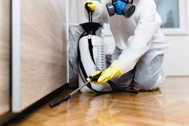 Best Residential Pest Control  in Mount Vernon, IL