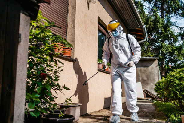 Bird Control in Mount Vernon, IL