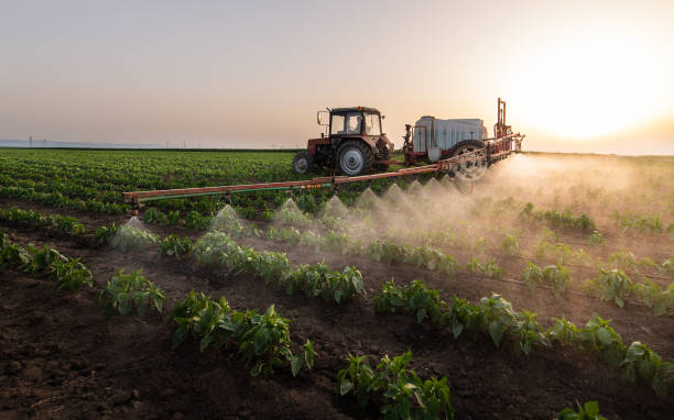 Reliable Mount Vernon, IL Pest Control Solutions