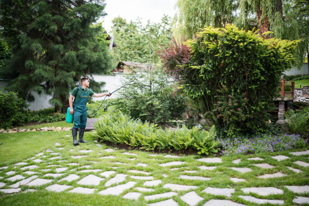 Best Best Pest Control Companies  in Mount Vernon, IL