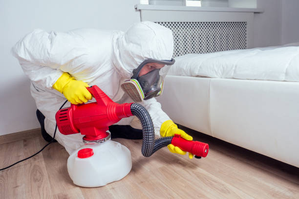 Best Ant Control Services  in Mount Vernon, IL