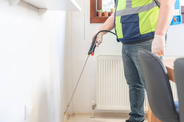 Best Ant Control Services  in Mount Vernon, IL