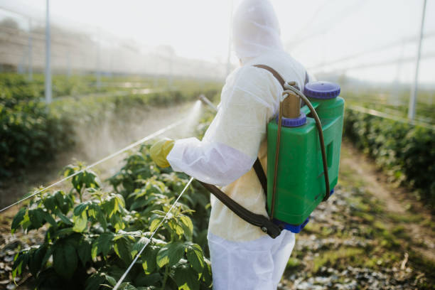 Best Pest Control Near Me  in Mount Vernon, IL